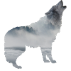 Wolf nature