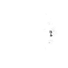 Ving Tsun Kung Fu