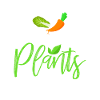 Vegan