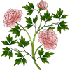 Bunte Blumen