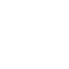 Programmer