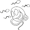 SPERMA Fun
