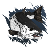 Forellen Flüsterer