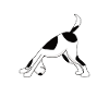 Dog yoga yoga dog