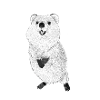 quakka