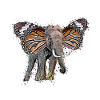 Elephant gift