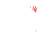 Raven crow