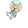 Space Corgi