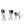 Dog Landseer Dog gift idea
