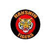 Hanshin Tigers