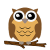 Cute owl motif illustration