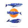 three whales