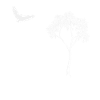Natur Vogel Baum nature freedom