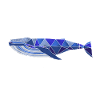fin whale