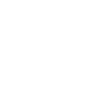 Turtle water turtle