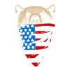 Bear in USA Flag