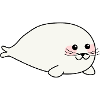 Cute seal bébé / phoque douce