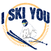 Skiing downhill teacher gift