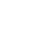 Hacktivist
