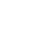 EVOLUTION OF FENCING