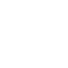 Astronomer planet