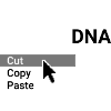 DNA
