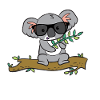 Koala with glasses