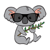 Koala with glasses