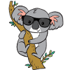 Koala with glasses
