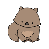 wombat