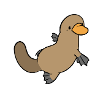 platypus