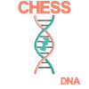 Schach Schachspiel Chess Schachbrett Schachmatt