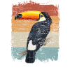 Toucan rétro