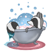 Raccoon in the bath