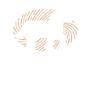 Équitation