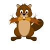 Beaver beaver