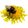 Hummel - eco power