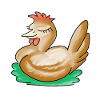 sleeping chicken
