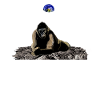 Moon Silverback