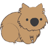 Cute wombat wombat