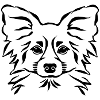 Papillon