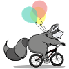 Raccoon cycles