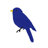 Blauer Vogel
