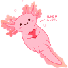 Axolotl likes you