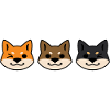 Three Shibas