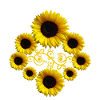 Sunflowers with ornament, sunflower, flowers