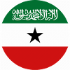 flag of Somaliland (calan)