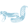 Single trail snake bright