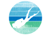 Divers dive
