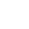 Singer
